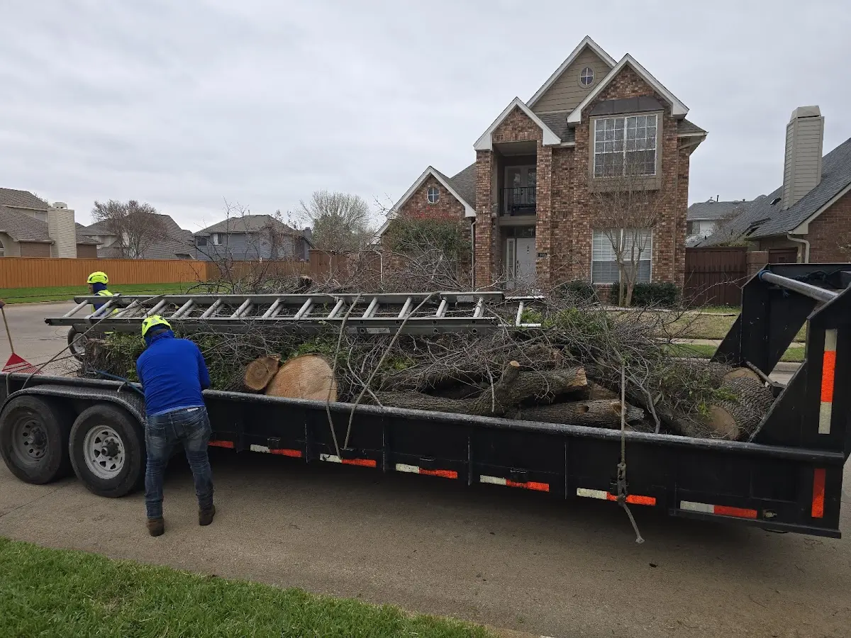 Expert Lot Clearing with proper safety equipment in South Jamesport